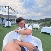 vincentandthewilddogs