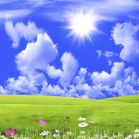 original sound - M.H.Nature