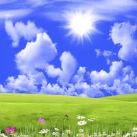 original sound - nature.marzan_22