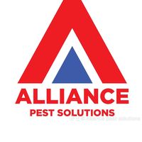 alliance1_