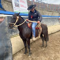 pariente_alexander