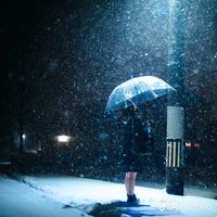 오리지널 사운드 - 초심불망 END