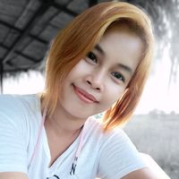 dolly1996_yzc