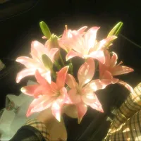 original sound - bollyvids