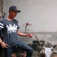 dyidguv6eahp