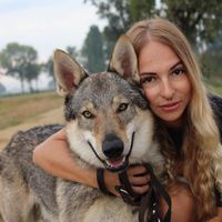 svevagelfi