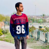 malikabuzarfareed4