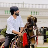chalihamzatarar01