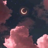 i.bubblegum