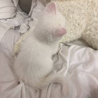 オリジナル楽曲 - ◝❤︎ ͛