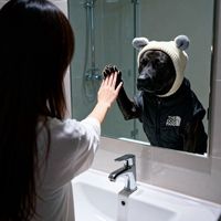 原聲 - @༻❥蘭ོ Lོོaོོnོꦿ࿐52o