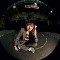 toyoshi_1999