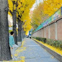 michtravel