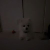 mokamil_70