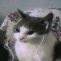 posangnakikinigngmusik
