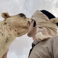 الصوت الأصلي