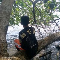 suara asli - 20 DESEMBER
