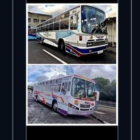 busofmauritius26