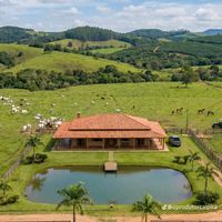 rosalindarochacigana