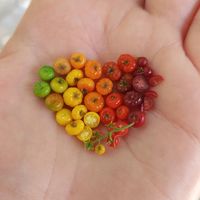 moon.lighting.miniatures