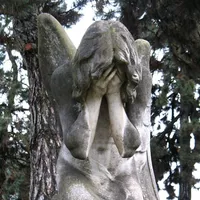 Звук для река