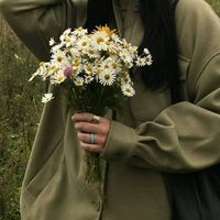 straypetals