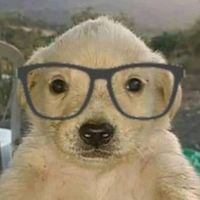 el_toto_yt4