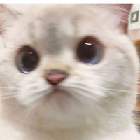 핫 나는 내 음원 뜰때마다 개신기하니까 많이 싸줘