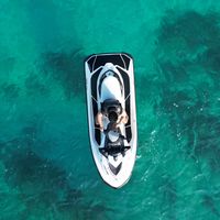 hamtarotraveling