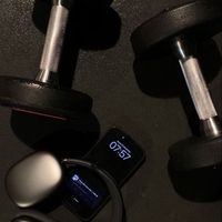 auria292