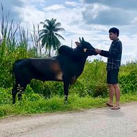 champ_phohak