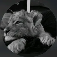 original sound - lyr1cs._.99