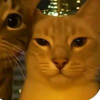 nathaly_0010