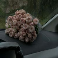 zeri_08