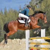paton.showjumping_aus