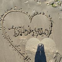 mrs.dibhyan
