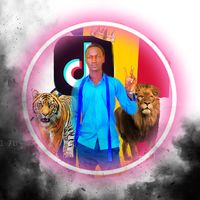 dar_dam__1