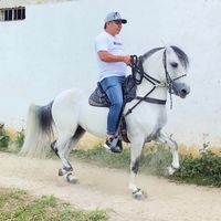camilorodriguez149