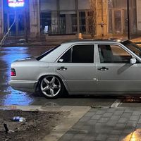 zaur.082