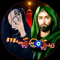 zm____h313