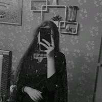 ziddigirls377
