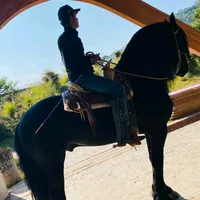 original sound - publipelis