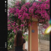 nhạc nền - HongNhung💔