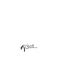 __user.046