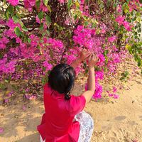 original sound - Ei Ei Nyein