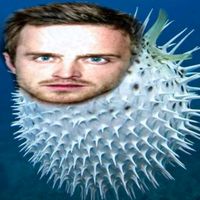 vexalfox