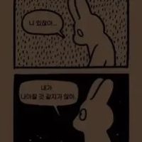 dawn12_o