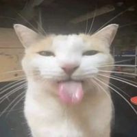 pepperoni.on.pizza420