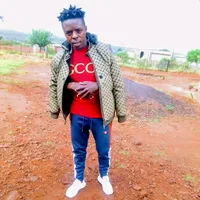 original sound - artistabotymona