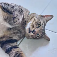 original sound - ti.xxxxade